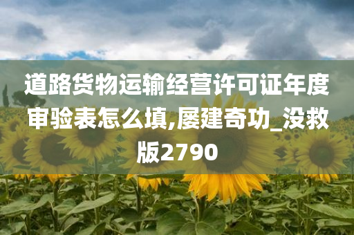 道路货物运输经营许可证年度审验表怎么填,屡建奇功_没救版2790