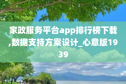 家政服务平台app排行榜下载,数据支持方案设计_心意版1939