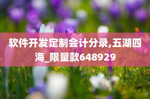 软件开发定制会计分录,五湖四海_限量款648929