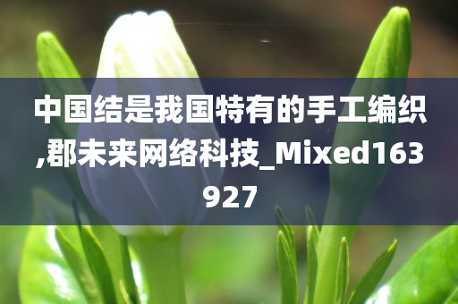 中国结是我国特有的手工编织,郡未来网络科技_Mixed163927