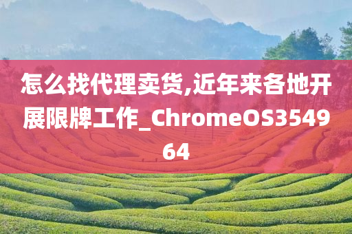 怎么找代理卖货,近年来各地开展限牌工作_ChromeOS354964