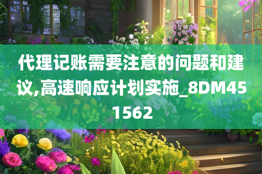 代理记账需要注意的问题和建议,高速响应计划实施_8DM451562