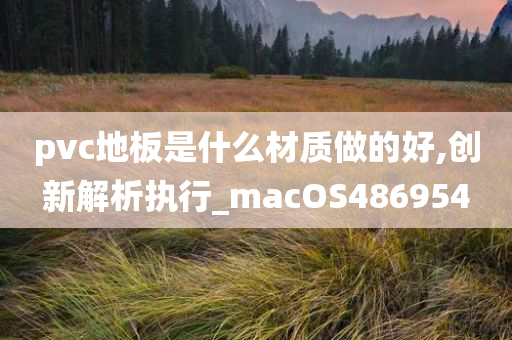 pvc地板是什么材质做的好,创新解析执行_macOS486954