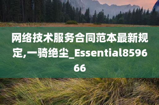 网络技术服务合同范本最新规定,一骑绝尘_Essential859666