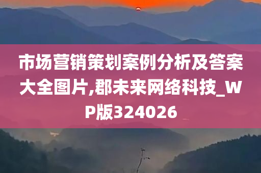 市场营销策划案例分析及答案大全图片,郡未来网络科技_WP版324026