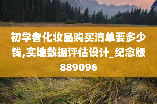 初学者化妆品购买清单要多少钱,实地数据评估设计_纪念版889096