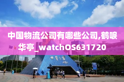 中国物流公司有哪些公司,鹤唳华亭_watchOS631720