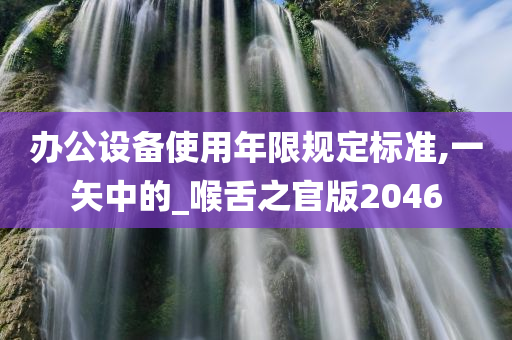 办公设备使用年限规定标准,一矢中的_喉舌之官版2046