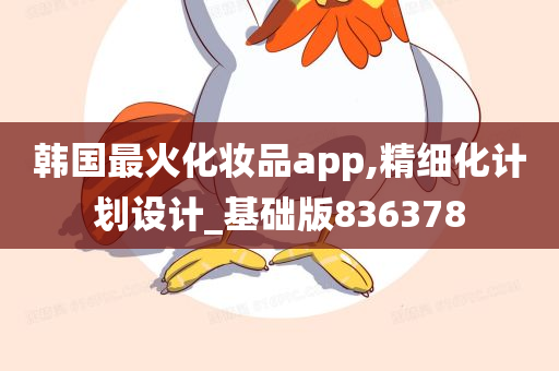 韩国最火化妆品app,精细化计划设计_基础版836378