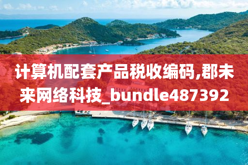 计算机配套产品税收编码,郡未来网络科技_bundle487392