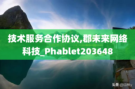 技术服务合作协议,郡未来网络科技_Phablet203648