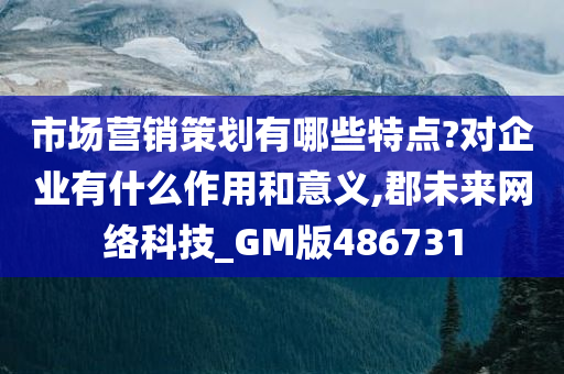 市场营销策划有哪些特点?对企业有什么作用和意义,郡未来网络科技_GM版486731