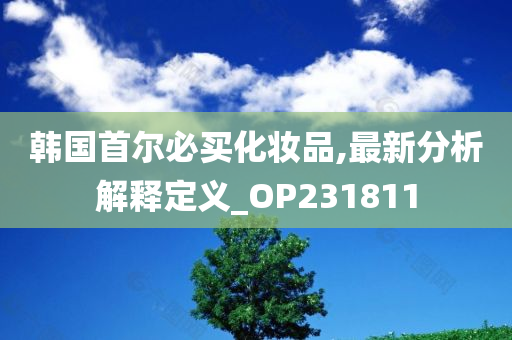 韩国首尔必买化妆品,最新分析解释定义_OP231811