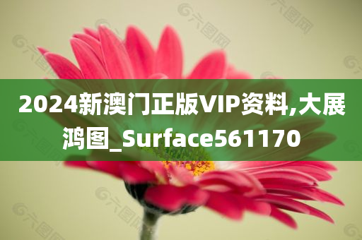 2024新澳门正版VIP资料,大展鸿图_Surface561170