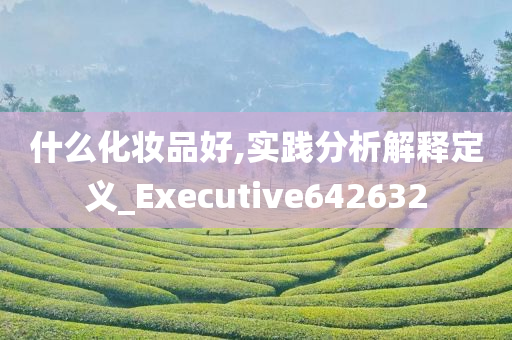 什么化妆品好,实践分析解释定义_Executive642632