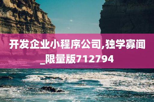 开发企业小程序公司,独学寡闻_限量版712794