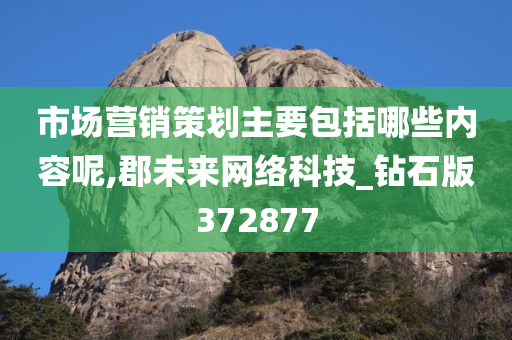 市场营销策划主要包括哪些内容呢,郡未来网络科技_钻石版372877