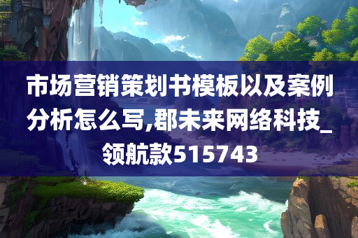 市场营销策划书模板以及案例分析怎么写,郡未来网络科技_领航款515743