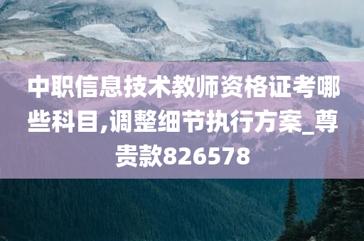 中职信息技术教师资格证考哪些科目,调整细节执行方案_尊贵款826578