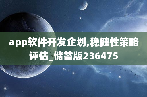 app软件开发企划,稳健性策略评估_储蓄版236475