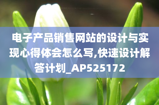 电子产品销售网站的设计与实现心得体会怎么写,快速设计解答计划_AP525172