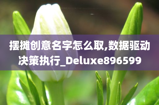 摆摊创意名字怎么取,数据驱动决策执行_Deluxe896599