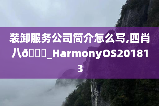 装卸服务公司简介怎么写,四肖八🐎_HarmonyOS201813