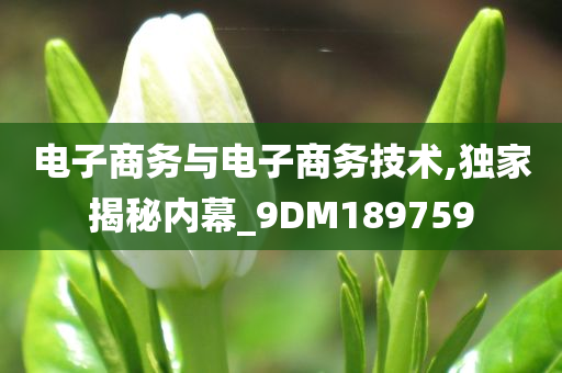 电子商务与电子商务技术,独家揭秘内幕_9DM189759