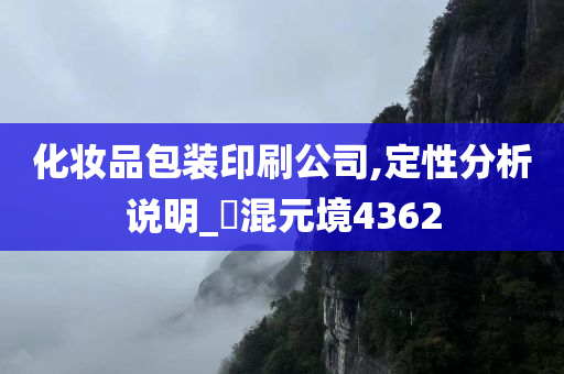 化妆品包装印刷公司,定性分析说明_‌混元境4362