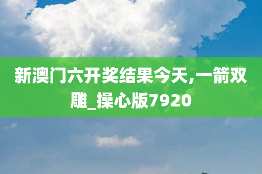 新澳门六开奖结果今天,一箭双雕_操心版7920