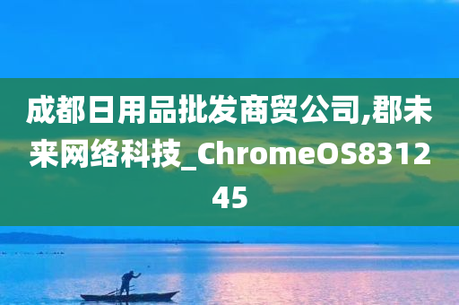 成都日用品批发商贸公司,郡未来网络科技_ChromeOS831245