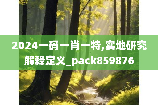 2024一码一肖一特,实地研究解释定义_pack859876