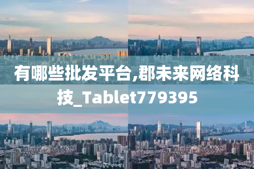 有哪些批发平台,郡未来网络科技_Tablet779395