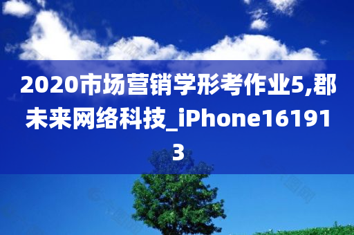 2020市场营销学形考作业5,郡未来网络科技_iPhone161913