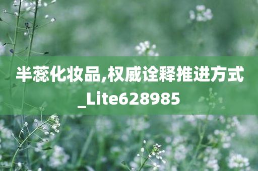 半蕊化妆品,权威诠释推进方式_Lite628985