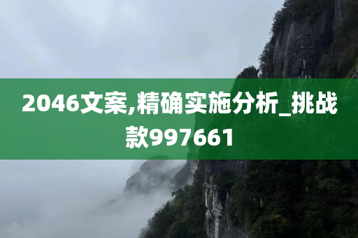 2046文案,精确实施分析_挑战款997661