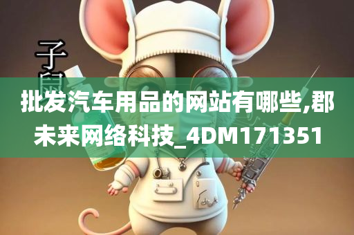 批发汽车用品的网站有哪些,郡未来网络科技_4DM171351