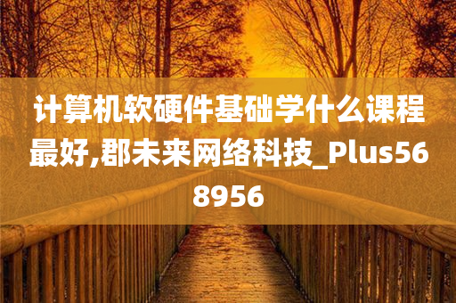 计算机软硬件基础学什么课程最好,郡未来网络科技_Plus568956