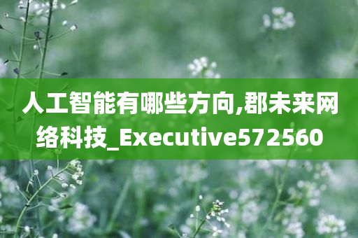 人工智能有哪些方向,郡未来网络科技_Executive572560