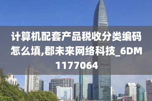 计算机配套产品税收分类编码怎么填,郡未来网络科技_6DM1177064