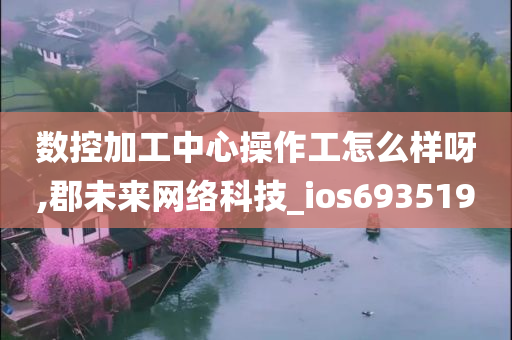 数控加工中心操作工怎么样呀,郡未来网络科技_ios693519