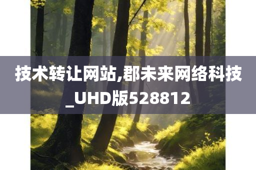 技术转让网站,郡未来网络科技_UHD版528812