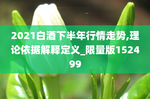 2021白酒下半年行情走势,理论依据解释定义_限量版152499