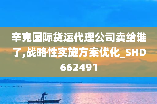 辛克国际货运代理公司卖给谁了,战略性实施方案优化_SHD662491