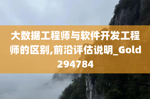 大数据工程师与软件开发工程师的区别,前沿评估说明_Gold294784