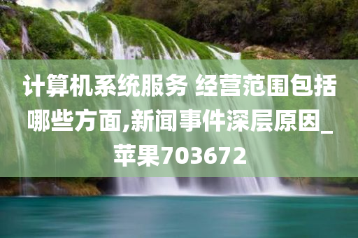 计算机系统服务 经营范围包括哪些方面,新闻事件深层原因_苹果703672