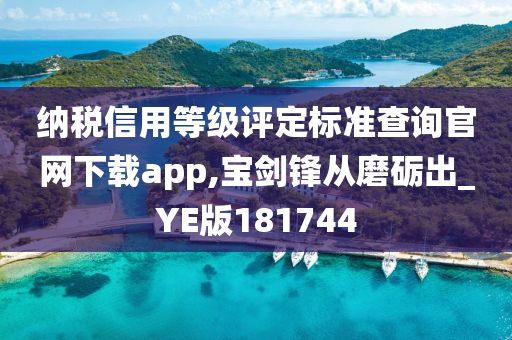 纳税信用等级评定标准查询官网下载app,宝剑锋从磨砺出_YE版181744