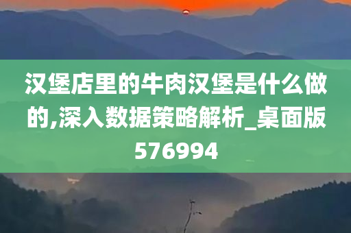 汉堡店里的牛肉汉堡是什么做的,深入数据策略解析_桌面版576994