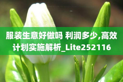 服装生意好做吗 利润多少,高效计划实施解析_Lite252116