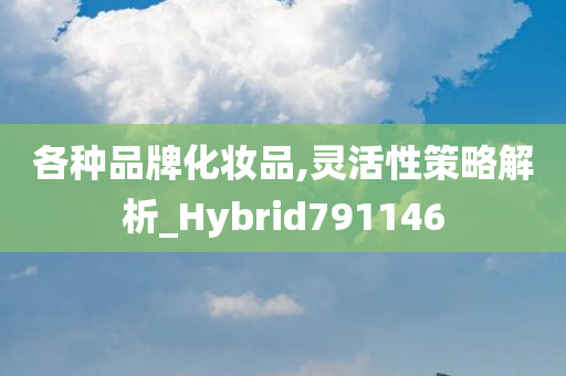 各种品牌化妆品,灵活性策略解析_Hybrid791146